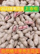 2023年新鲜干花生自然，晾晒带壳生花生