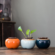 创意绿萝水培花瓶陶瓷器皿水养植物花盆鲜花容器客厅装饰桌面摆件