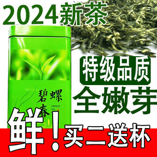 茶农头采2024新茶叶(新茶叶，)绿茶苏州特香明前特级碧螺春250克嫩芽