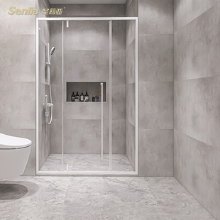 圣莉亚淋浴房一字型极简不锈钢卫生间玻璃隔断推拉门定制干湿分离