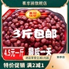 新枣特级沧州红枣干金丝，小枣子2500g新货农家自产5斤整箱