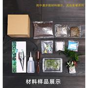 12cm切口瓶苔藓微景观，diy材料套装，办公室内桌面迷你盆景绿植组合