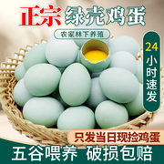 绿壳蛋正宗土鸡蛋黑鸡蛋整箱40枚新鲜农家生态自养乌鸡蛋柴鸡蛋30