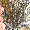 IKEA宜家 思米加 人造花手工树枝 现代花艺家居摆设 仿真花卉装饰