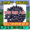 生的新货大粒山东黑花生米500g  养胃瘪籽黑花生米农家自种