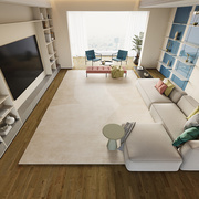 日式地毯客厅侘寂风沙发，茶几毯防水耐脏pvc地板垫2023大面积