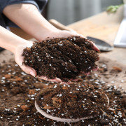 家用种植营养园艺花土有机绿萝菜盆肥料栽种养花土肥土栽花农用