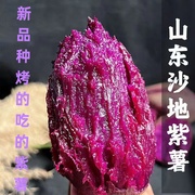 山东沙地水晶紫薯糖心红薯蜜薯番薯新鲜5斤农家沙地自种烤地瓜烤