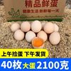 土鸡蛋正宗农家散养新鲜月子，蛋自养天然2040枚虫草蛋整箱