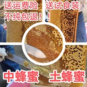 自养蜂蜜中蜂蜜土蜂蜜农家，蜜百花蜜，纯天然美容保健增强免疫力