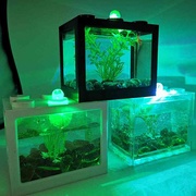 创意迷你生态微造景小型水族箱办公室桌面书桌金鱼缸LED灯斗鱼缸