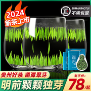 明前雀舌2024新茶贵州湄潭翠芽特级绿茶，送礼罐装高山浓香型250g