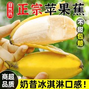 正宗广西苹果蕉当季新鲜水果香蕉9斤自然熟整箱小米蕉粉芭蕉香焦