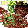 口红吊兰专用土兰花科通用型营养土，绿植园艺有机土壤，盆栽花土特配