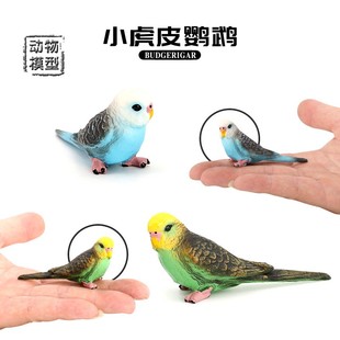仿真野生动物模型套装虎皮鹦鹉飞禽鸟类静态实心儿童塑胶玩具