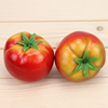 高仿真西红柿蔬菜泡沫模型假番茄画室摄影食品食物早教展示道玩具