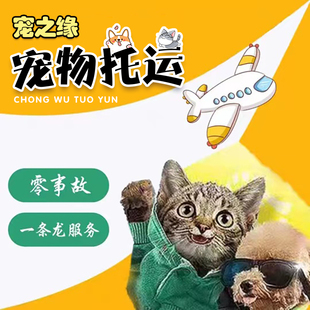 成都宠物托运服务邮寄猫咪快递运输猫，空运狗航空空运北京广州