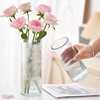 水养富贵竹玫瑰百合花瓶，摆件大号直筒玻璃，透明客厅插花装饰高级感