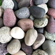 天然鹅卵石石头铺路石子园艺，布景石(布景石)鱼缸雨花石鹅暖石铺地9斤