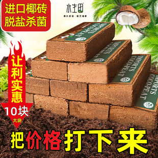 椰砖营养土养花阳台种菜脱盐种植椰壳通用型土壤大块耶砖椰糠专用