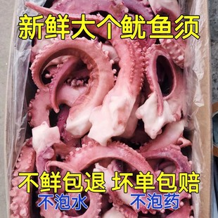 超大脆口章鱼须新鲜鱿鱼须海鲜八爪鱼冷冻章鱼足烧烤火锅商用