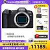 自营Canon/佳能 EOS R8 全画幅专业微单相机 单机/24-50套机