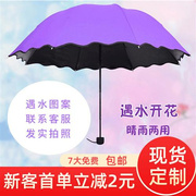 荷叶边遇水开花晴雨伞三折手动折叠黑胶遮阳伞女士防紫外线太阳伞