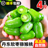 丹东软枣猕猴桃4斤迷你奇异果新鲜水果当季圆长枣子泥猴桃5