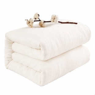 亏本棉被冬被被子单双人(单双人)被芯棉絮，床垫被褥春秋薄被子10斤棉花被