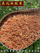 东北红米红粳米红血稻，糙米5斤大米饭红香米，健身主食五谷杂粗粮粥