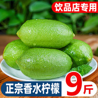 无籽青柠檬，9斤广东新鲜一级果香水