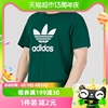 Adidas阿迪达斯三叶草短袖男夏大logo休闲运动T恤IA4819