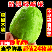 陕西周至猕猴桃5斤绿心奇异果应当季新鲜水果即食猕猴桃礼盒3