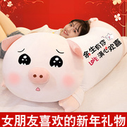 2024新年猪猪公仔毛绒，玩具女生玩偶抱枕，睡觉抱着女孩娃娃生日礼物