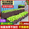 家庭阳台种菜神器蔬菜专用箱种植箱楼顶架长方形塑料花盆特大花箱