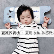 儿童夏季荞麦枕0-1-2-3岁6婴儿夏天透气吸汗冰丝以上宝宝冰凉枕头