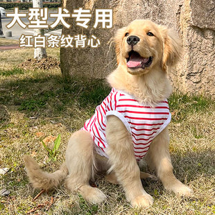 狗狗衣服夏季薄款宠物条纹背心