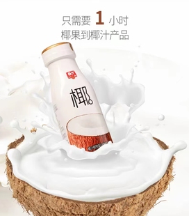 春光椰汁245ml*15整箱植物蛋白饮料椰奶调生椰拿铁配咖啡网红椰乳