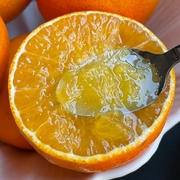 辰颐物语爱媛果冻橙38号5斤装眉山现摘多汁，橙子新鲜水果产地直发