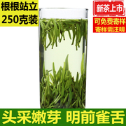 雀舌绿茶毛尖嫩芽2023明前新茶一级保康松针春茶250g竹叶茶浓香型