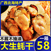 广西北海特产大生蚝干500g海鲜干货海产品牡蛎肉蚝干牡蛎干生蚝肉