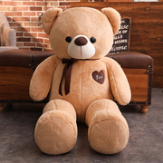 毛绒玩具泰迪熊猫，抱抱熊公仔布娃娃大号玩偶，送女友靠垫抱枕