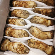 西藏松茸新鲜野生菌菇白蘑菇出口级7至9cm非云南冷链空运
