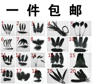 各种羽毛款式潮流饰品，配件手工diy天然羽毛装饰黑色羽毛服装辅料