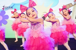儿童舞蹈演出服装女童吊带幼儿园合唱服蓬蓬纱裙女孩粉可爱表演服