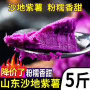 山东紫薯新鲜番薯3-5斤农家蜜薯地瓜板栗香红沙地薯糖心蔬菜5