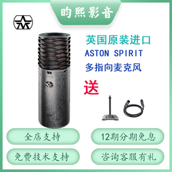 阿斯顿Aston Spirit大震膜多指向电容麦克风进口录音棚直播歌话筒