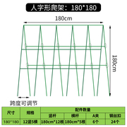 阳台菜园种菜蔬菜爬藤架子豆角，架杆黄瓜支架，支撑杆攀爬架园艺花架