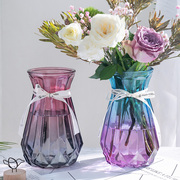 套装玻璃花瓶摆件北欧客厅，水养富贵竹透明装饰大小，干花插花瓶