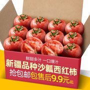 正宗新疆品种自然，熟沙瓤西红柿10斤普罗旺斯现摘新鲜水果蔬菜番茄